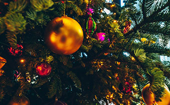 Ornaments on tree